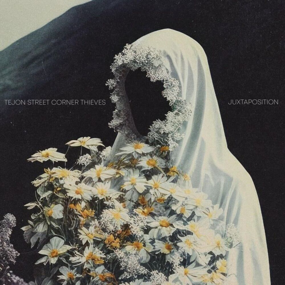 Tejon Street Corner Thieves - Juxtaposition  CD